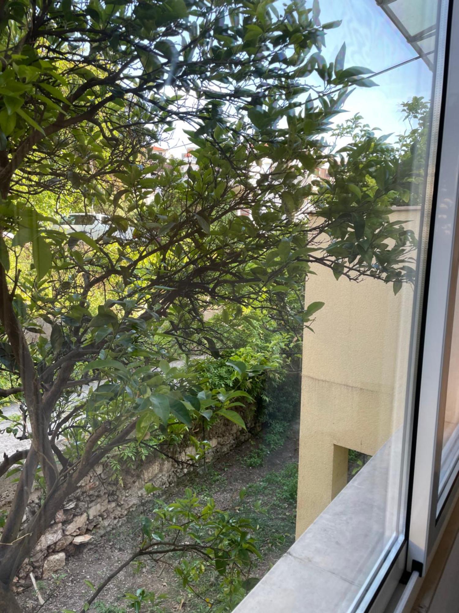 Apartmani Isabella - Ilda Radonic ييلسا المظهر الخارجي الصورة
